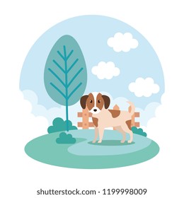 cute dog in park