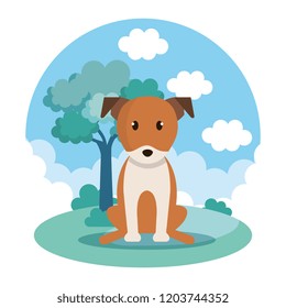 cute dog in park