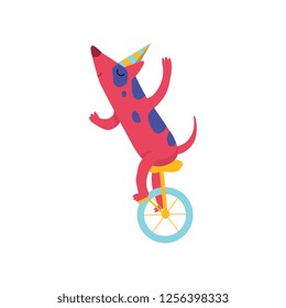 Cute dog in party hat riding unicycle, funny cartoon animal character at birthday party vector Illustration