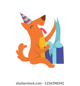 Cute dog in party hat sitting on the floor with a gift box, funny cartoon animal character at birthday party vector Illustration