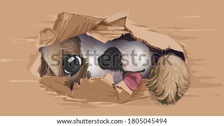 Similar – Image, Stock Photo small hole in the wood you can see the blue sea