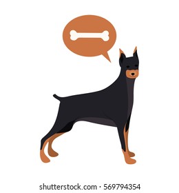 Cute dog pet