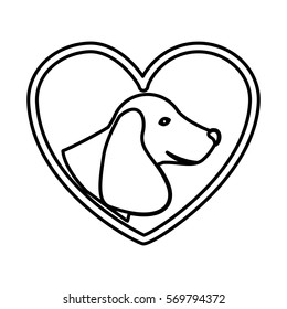 Cute dog pet