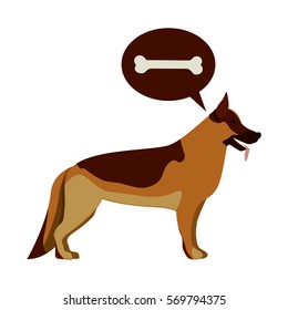 Cute dog pet