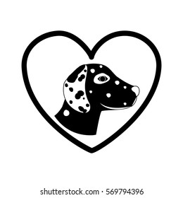 Cute dog pet