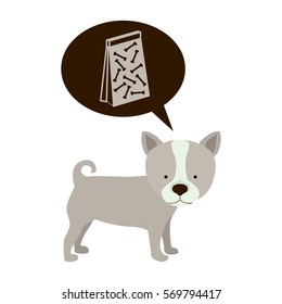 Cute dog pet