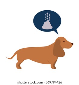 Cute dog pet