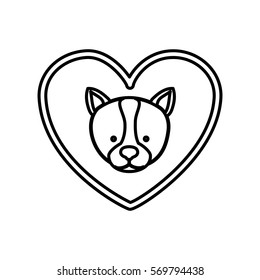 Cute dog pet