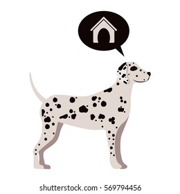 Cute dog pet