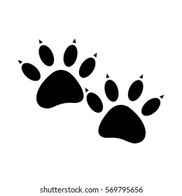 Cute dog pet