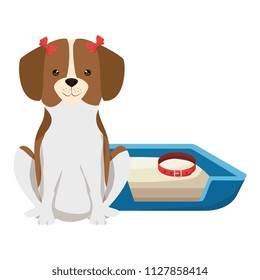 cute dog pet with bed character