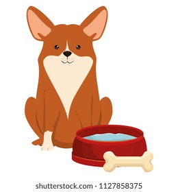 cute dog pet with dish and bone character