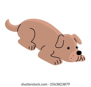 Cute dog. A pet is a friend. Little cheerful puppy. Animal character. Cartoon vector illustration isolated on white background