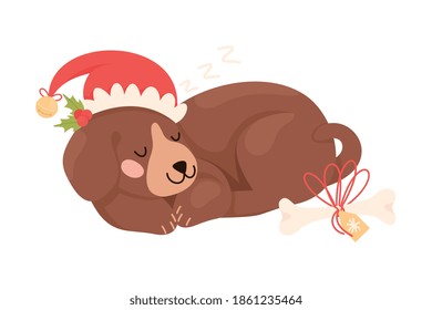 Cute Dog Pet in Red Hat Curled up and Sleeping with Gift Bone Rested Nearby Vector Illustration