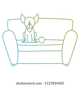 cute dog pet in the sofa character