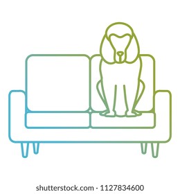 cute dog pet in the sofa character