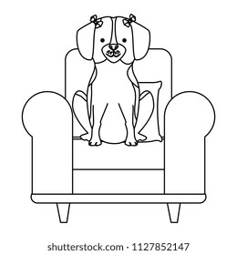 cute dog pet in the sofa character