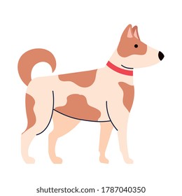 cute dog pet spotted, on white background vector illustration design