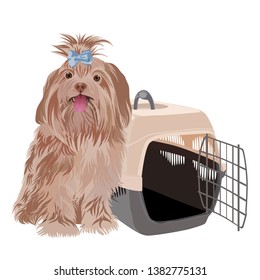 Cute dog pet with transport box. Vector illustration. Isolated on a white background.