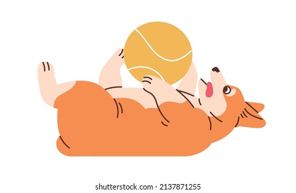 Cute dog playing with ball. Happy corgi puppy lying upside down on back, having fun. Funny playful doggy. Amusing adorable pup with tongue out. Flat vector illustration isolated on white background