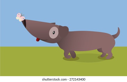 Cute dog playing with a butterfly