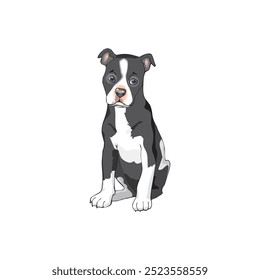 Cute dog playing dog puppy