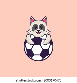Cute dog playing soccer. Animal cartoon concept isolated. Can used for t-shirt, greeting card, invitation card or mascot.