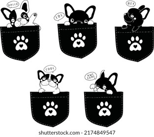 Cute dog pocket set. Collection of funny, happy, surprised bulldog in pockets.