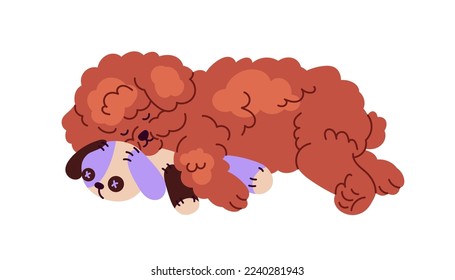 Cute dog of Poodle breed sleeping with toy. Little puppy asleep. Adorable sleepy doggy, curly fluffy fuzzy pup. Canine animal lying, relaxing. Flat vector illustration isolated on white background