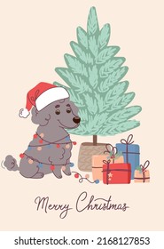 Cute dog poodle wearing a Santa Claus hat on christmas card. Vector greeting card in flat style with lettering Merry Christmas.