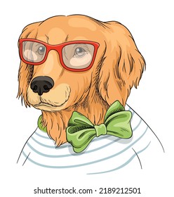 Cute Dog Portrait. Funny Puppy In Stylish Outfit Or Trendy Striped Cardigan, Green Bow Tie And Glasses. Design Element For Social Media And Fabric Print. Cartoon Hand Drawn Flat Vector Illustration