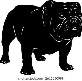 Cute dog posing on a white background. Friendly and loyal pet perfect for animal-related projects, pet care ads, veterinary services, dog training, companionship themes, and family lifestyle visuals.