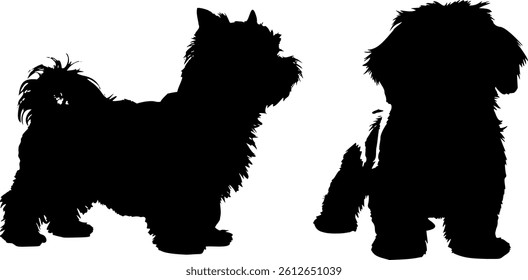 Cute dog posing on a white background. Friendly and loyal pet perfect for animal-related projects, pet care ads, veterinary services, dog training, companionship themes, and family lifestyle visuals.