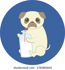 Cute dog pug with bottle of milk on the blue round background. Cartoon style vector graphics.