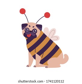 Cute dog pug breed in bee costume vector flat illustration. Funny domestic animal character wearing apparel sitting isolated on white background. Amusing playful pet showing tongue