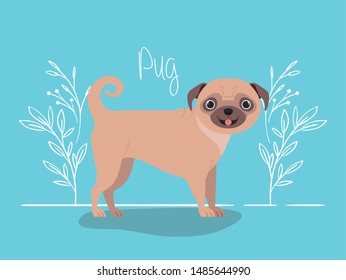 cute dog pug pet character