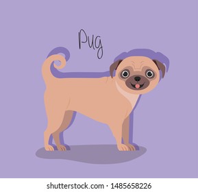 cute dog pug pet character