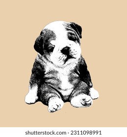 Cute Dog Puppy in Black White Illustration