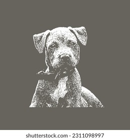 Cute Dog Puppy in Black White Illustration