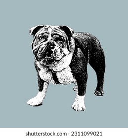 Cute Dog Puppy in Black White Illustration