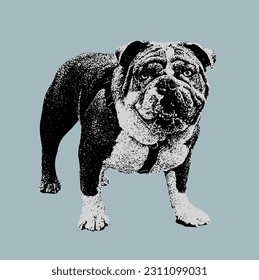 Cute Dog Puppy in Black White Illustration