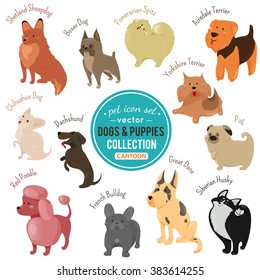 Cute dog and puppy icons isolated on white background. Vector illustration for veterinarian design. Set of cartoon flat breed dogs. Pet animal clip art characters. Adorable puppy pet images Veterinary