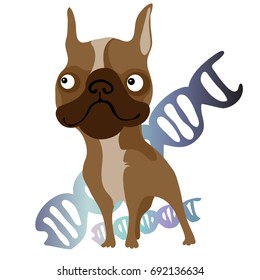 Cute dog purebred isolated on white background. The creation of genetically pure breed dogs. Vector cartoon close-up illustration.