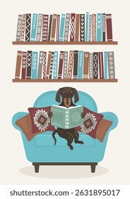 Cute dog reading book in cozy armchair and booksheves.