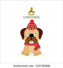 Cute dog in red hat and scarf for Merry Christmas and happy new year . 