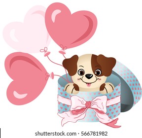 Cute dog in round gift box with bow ribbon and balloons

