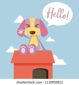 Cute dog say hello