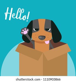 Cute dog say hello