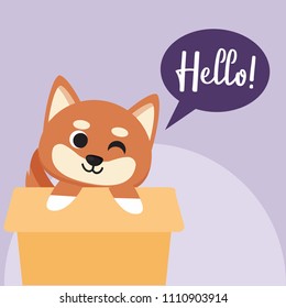 Cute dog say hello