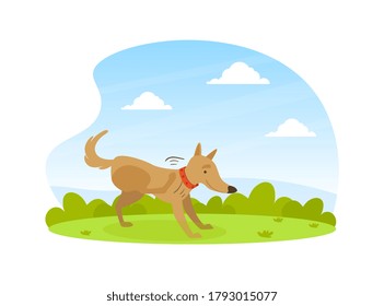 Cute Dog Scratching its Paw on Lawn in Backyard on Beautiful Summer Landscape Flat Vector Illustration